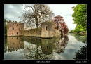 The Wells Moat