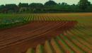 Artistic Farmer wins Picture of the week