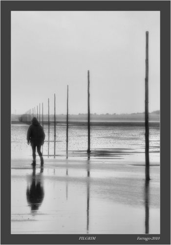 The Pilgrim