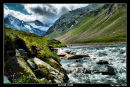 Alpine Flow