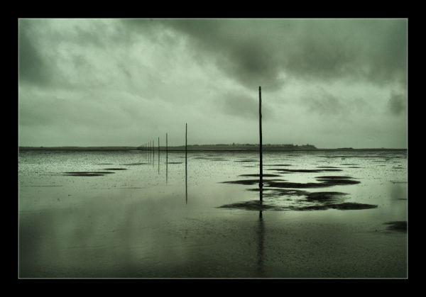 Pilgrims Way