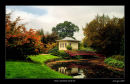 The Chinese House