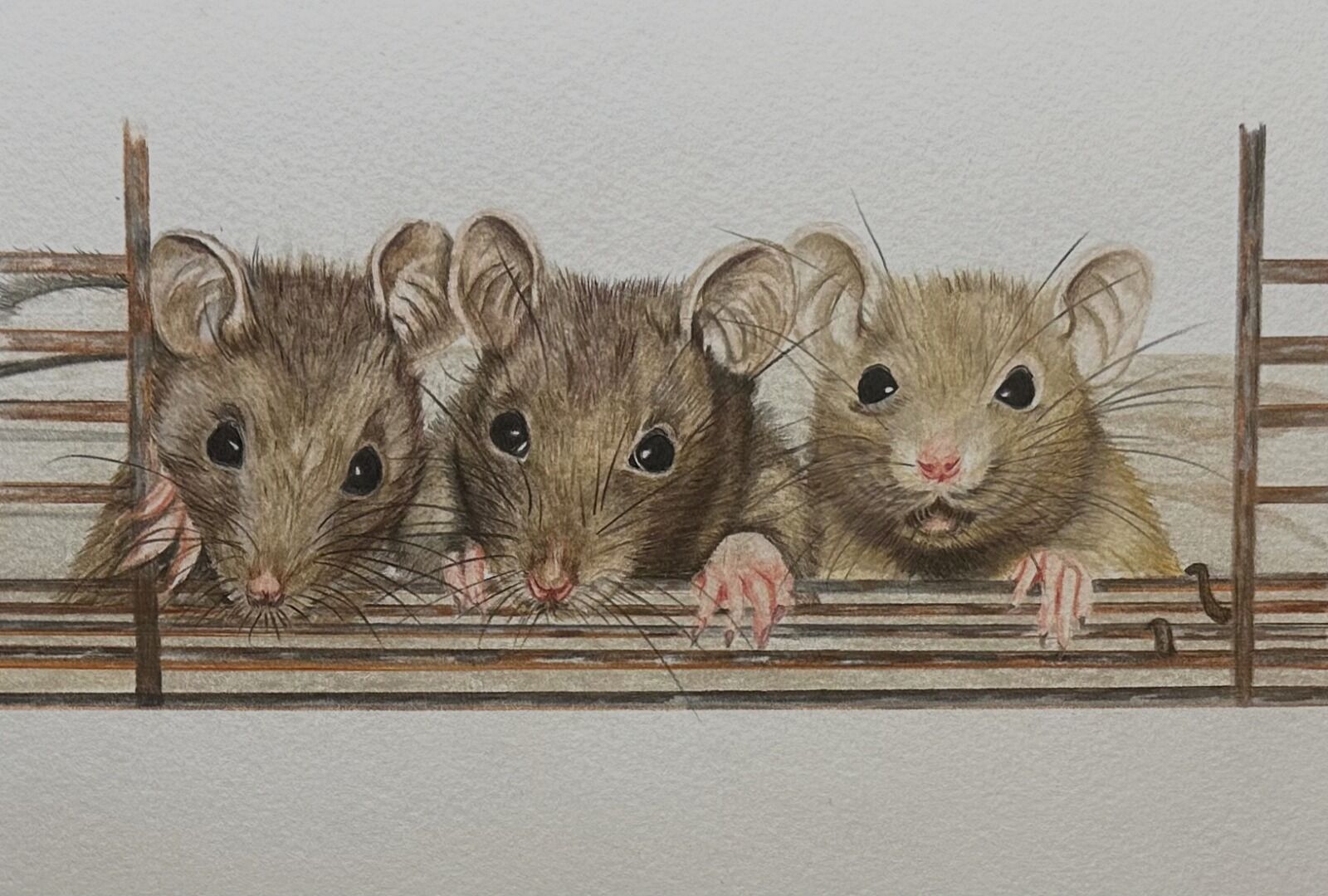 Mouse Trio