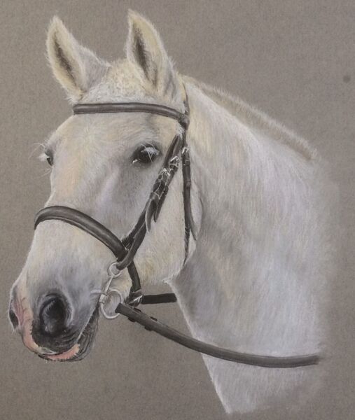 Jude Sullivan Commissions