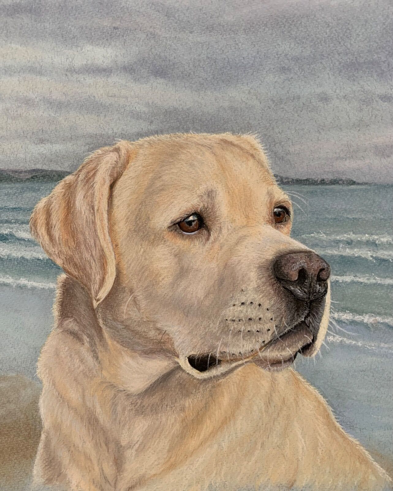 Nelson