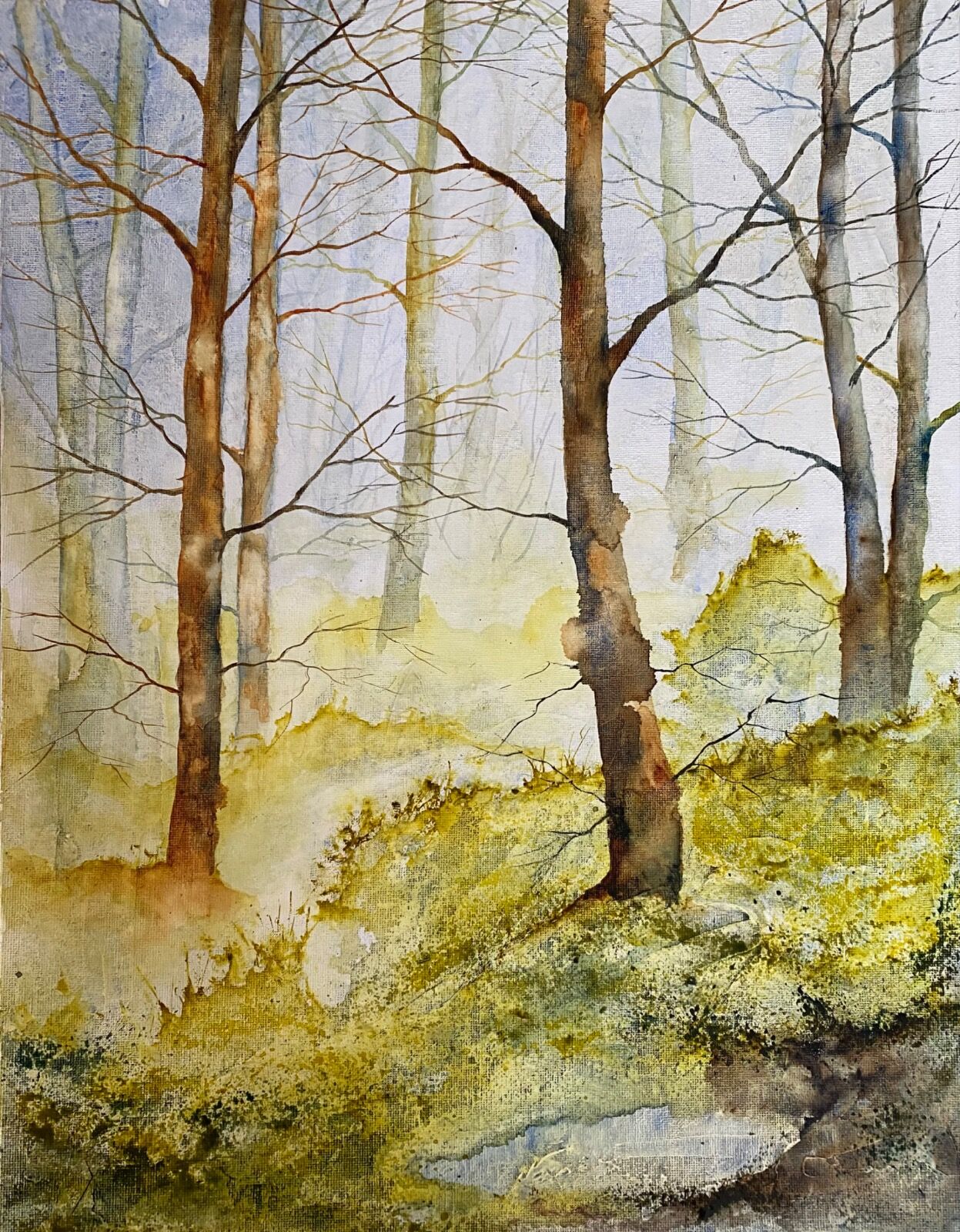 Forest Frost