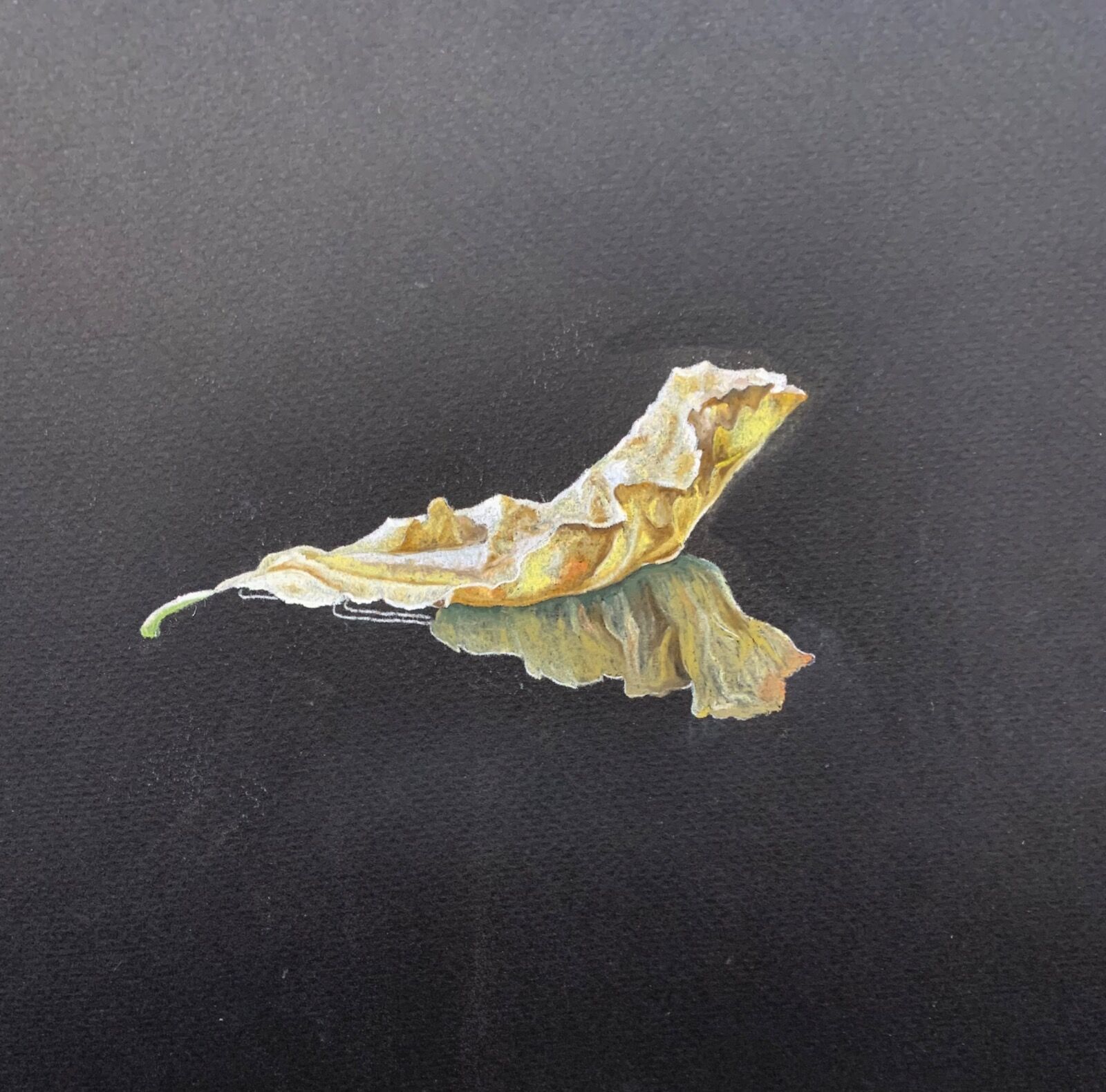 Leaf #3