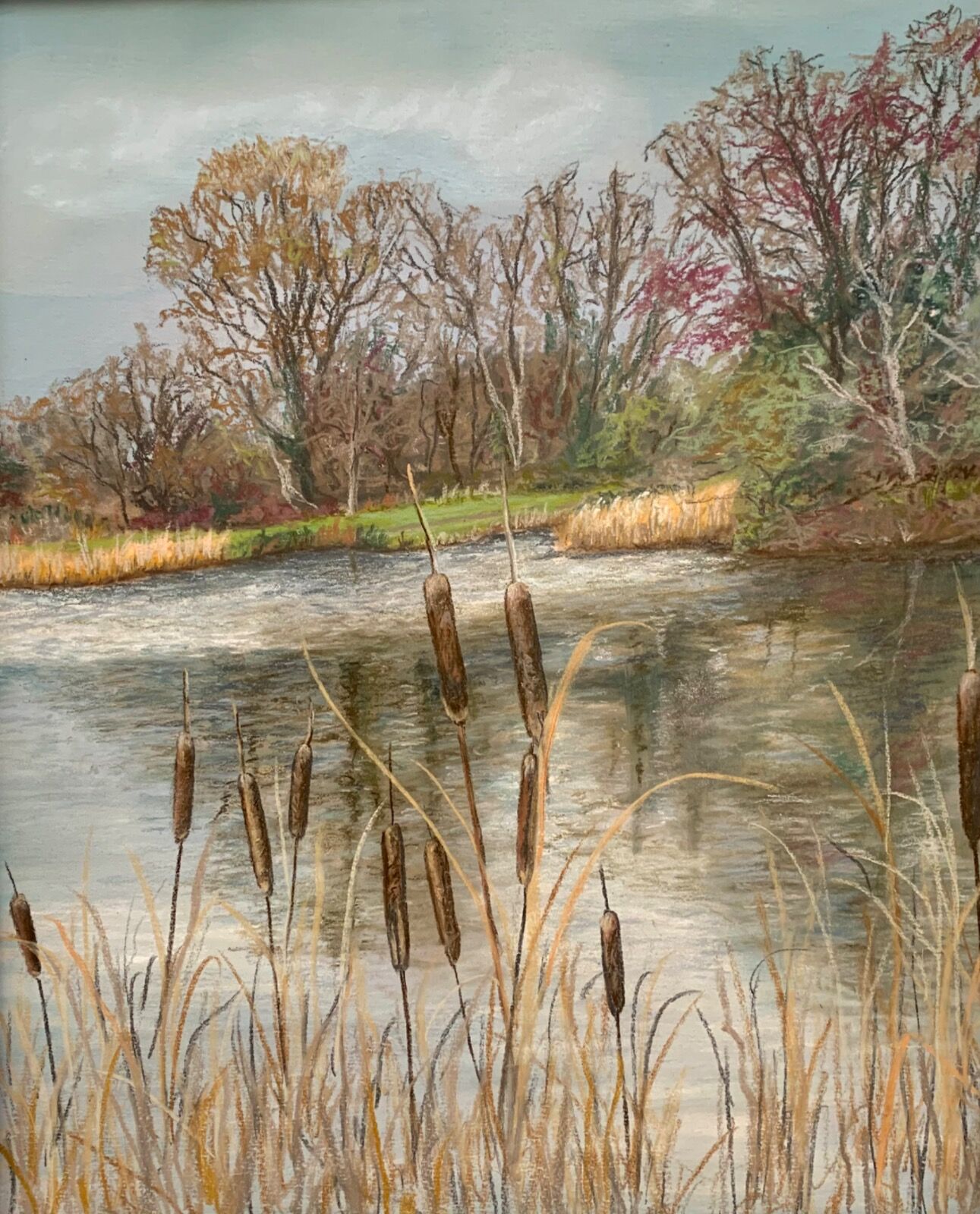 Bulrushes