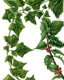 The Holly and The Ivy