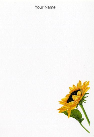 Sunflower