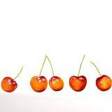 Rainier Cherries Personalised Correspondence Cards with an image of a watercolour of Cherries