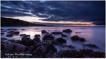 Purple, Cummingston Beach, Moray, Scotland