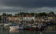 Anstruther Harbour