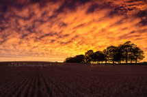 Fire In The Sky