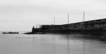 Fishers At The Harbour