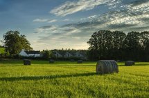 Hay Bales