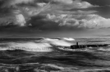 Stormy Lossie
