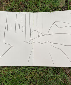 Pith sketches of Brackenside