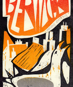 Berwick-upon-Tweed gull.