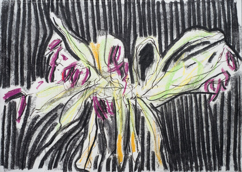 Tulips Charcoal and soft pastel