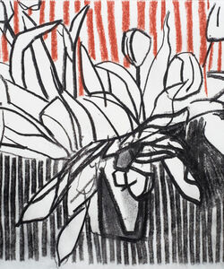 Tulips Charcoal and soft pastel