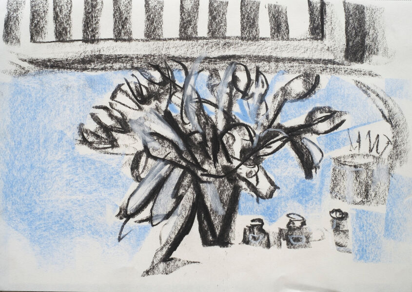 Tulips Charcoal and soft pastel