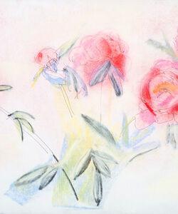 Peonies Charcoal and soft pastel.