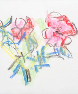Peonies Charcoal and soft pastel.