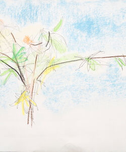 Acer, pen and soft pastel.