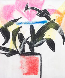 Lilies Charcoal and soft pastel.