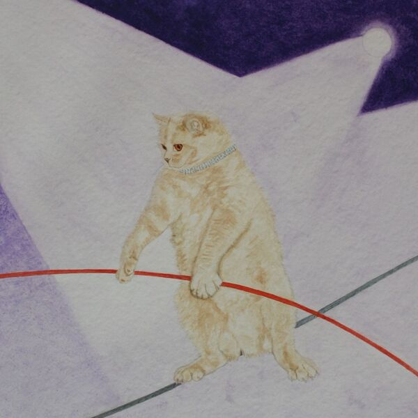 Andromeda walks the Tightrope