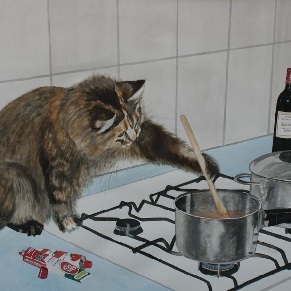 Daniel's Cat cooks Spaghetti