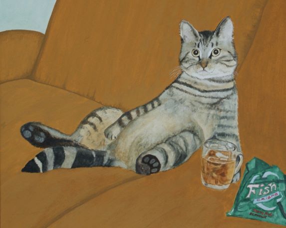 Harry watches sport on tv