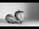 Wooden Fruits - 2nd Print 3 Mono