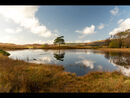 Kelly Hall Tarn, Torver - 3rd =