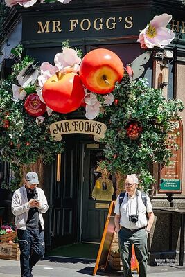 Mr Fogg's