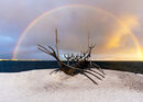 Sun Voyager - David Marriott