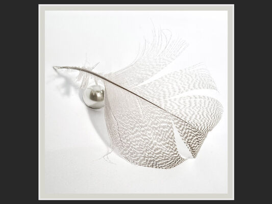 Creative Cup 1st - Wingsect