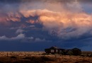 Outing to Dungeness - August 2026
