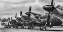 Spitfires on Parade