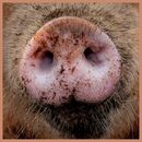 Spot on - David Marriott