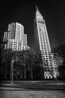 Steel Trees of Manhattan