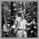 Windswept - Frank Page