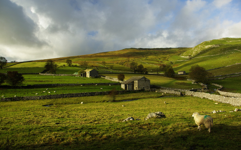 3 Barns