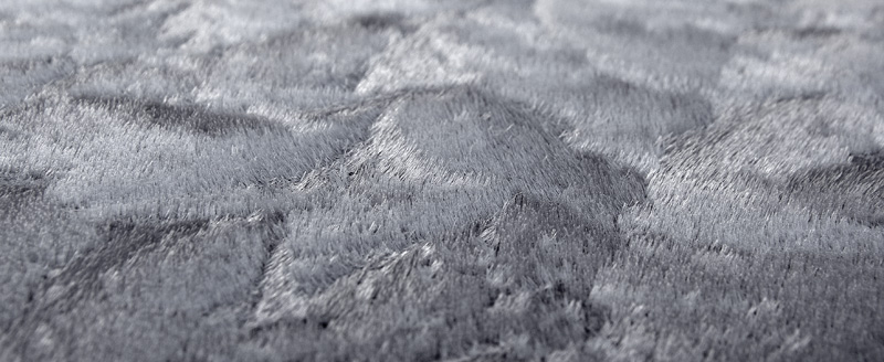 Fur or Frost?