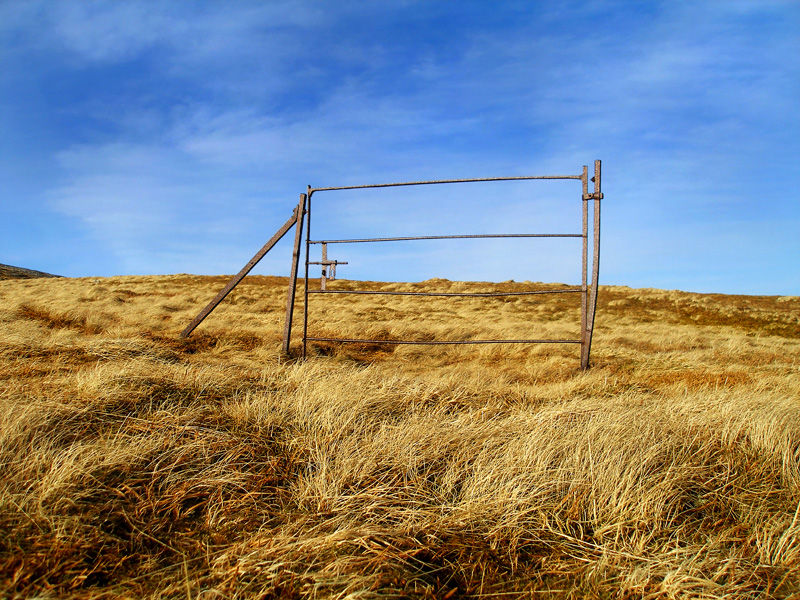 Iron gate