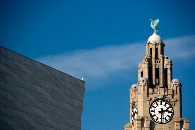Liver Birds