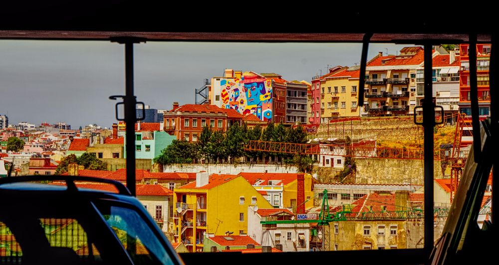 Room with a view