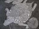 Black Pond Turtle and Lily pads
