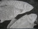 Detail of Carp